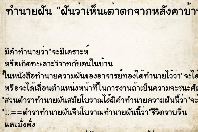 ทำนายฝัน ฝันว่าเห็นเต่าตกจากหลังคาบ้าน ทำนายฝัน ฝันว่าเห็นเต่าตกจากหลังคาบ้าน