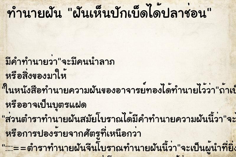 ทำนายฝันฝันเห็นปักเบ็ดได้ปลาช่อน ทำนายฝันทำนายฝันฝันเห็นปักเบ็ดได้ปลาช่อน