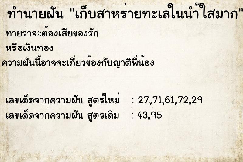ทำนายฝันทำนายฝันเก็บสาหร่ายทะเลในนำ้ใสมาก