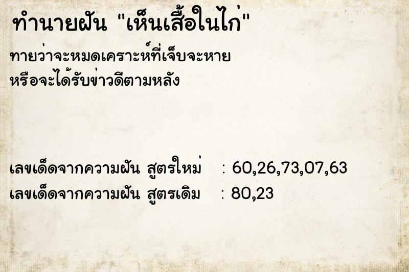 ทำนายฝัน เห็นเสื้อในไก่ ทำนายฝัน เห็นเสื้อในไก่