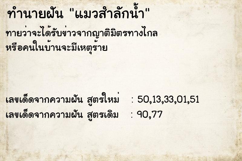 ทำนายฝัน แมวสำลักน้ำ ทำนายฝัน แมวสำลักน้ำ