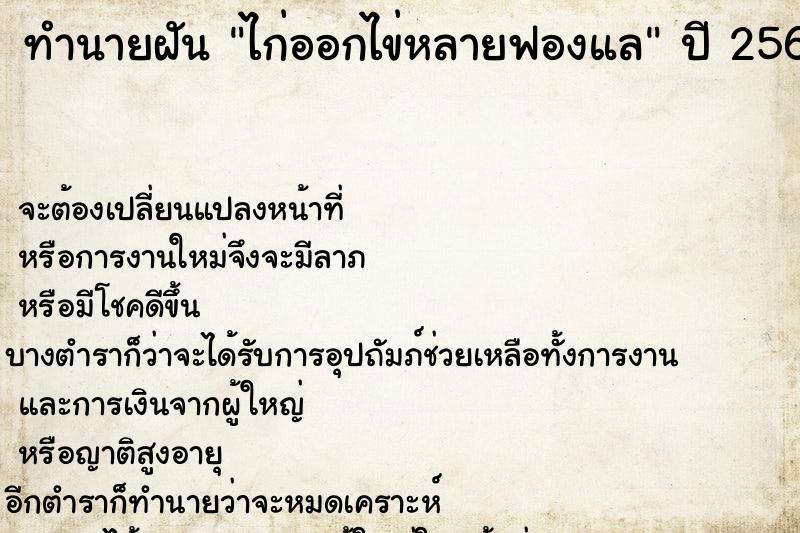 ทำนายฝัน ไก่ออกไข่หลายฟองแล ทำนายฝัน ไก่ออกไข่หลายฟองแล