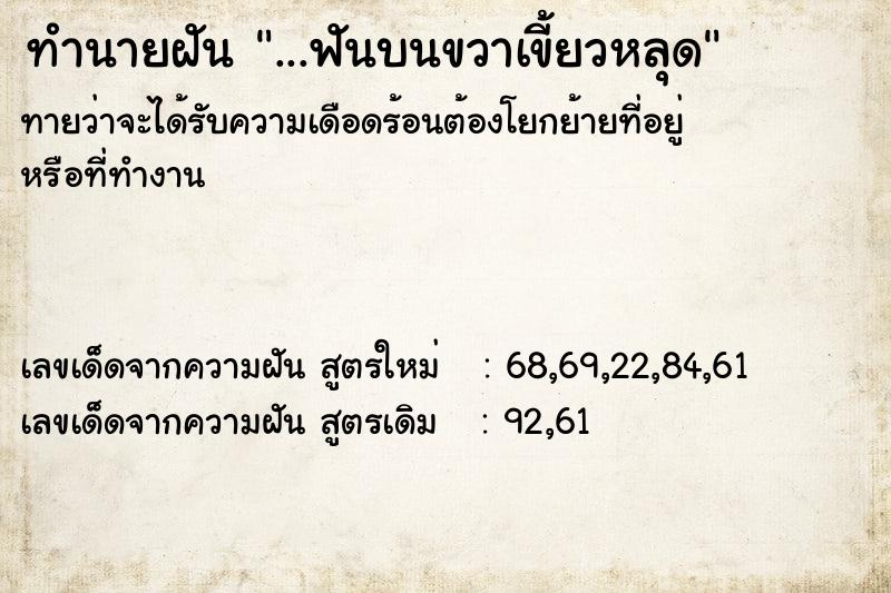 ทำนายฝัน ...ฟันบนขวาเขี้ยวหลุด ทำนายฝัน ...ฟันบนขวาเขี้ยวหลุด