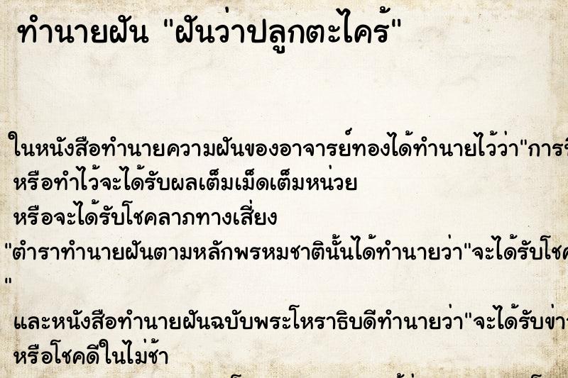 ทำนายฝันทำนายฝันฝันว่าปลูกตะไคร้