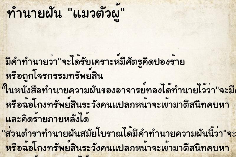 ทำนายฝัน แมวตัวผู้ ทำนายฝัน แมวตัวผู้