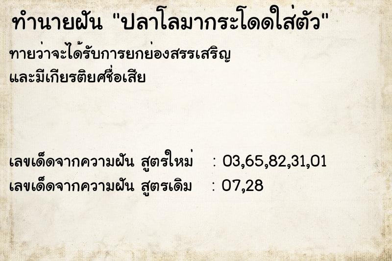 ทำนายฝันปลาโลมากระโดดใส่ตัว ทำนายฝันทำนายฝันปลาโลมากระโดดใส่ตัว