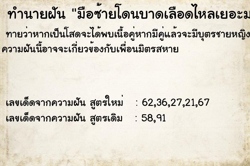 ทำนายฝันทำนายฝันมือซ้ายโดนบาดเลือดไหลเยอะมาก