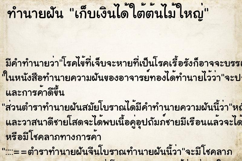ทำนายฝัน เก็บเงินได้ใต้ต้นไม้ใหญ่ ทำนายฝัน เก็บเงินได้ใต้ต้นไม้ใหญ่