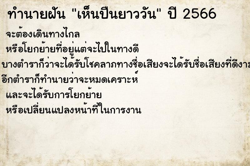 ทำนายฝันทำนายฝันเห็นปืนยาววัน