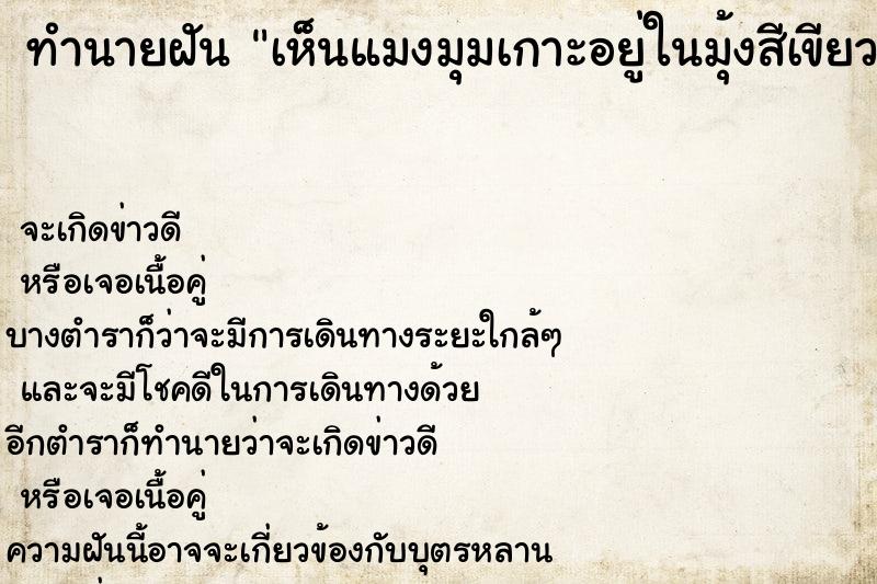 ทำนายฝัน เห็นแมงมุมเกาะอยู่ในมุ้งสีเขียว ทำนายฝัน เห็นแมงมุมเกาะอยู่ในมุ้งสีเขียว