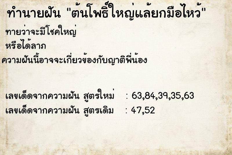 ทำนายฝันต้นโพธิ์ใหญ่แล้ยกมือไหว้ ทำนายฝันทำนายฝันต้นโพธิ์ใหญ่แล้ยกมือไหว้