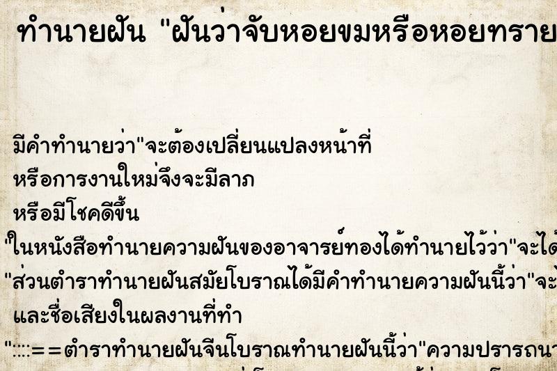 ทำนายฝัน ฝันว่าจับหอยขมหรือหอยทราย ทำนายฝัน ฝันว่าจับหอยขมหรือหอยทราย