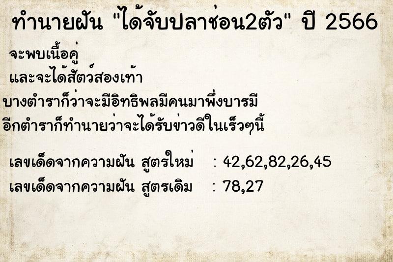 ทำนายฝัน ได้จับปลาช่อน2ตัว แม่นๆ ฟรี ด้วยตำราหนังสือทำนายฝันโบราณ ทำนายฝันได้จับปลาช่อน2ตัว