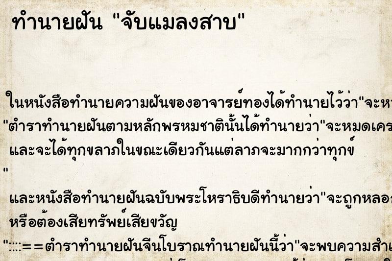 ทำนายฝัน จับแมลงสาบ ทำนายฝัน จับแมลงสาบ