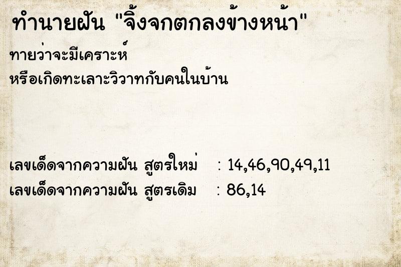 ทำนายฝันจิ้งจกตกลงข้างหน้า ทำนายฝันทำนายฝันจิ้งจกตกลงข้างหน้า