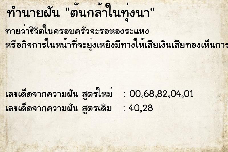 ทำนายฝันต้นกล้าในทุ่งนา ทำนายฝันทำนายฝันต้นกล้าในทุ่งนา