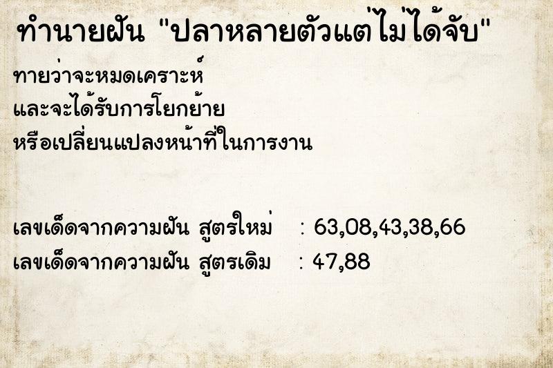 ทำนายฝันทำนายฝันปลาหลายตัวแต่ไม่ได้จับ
