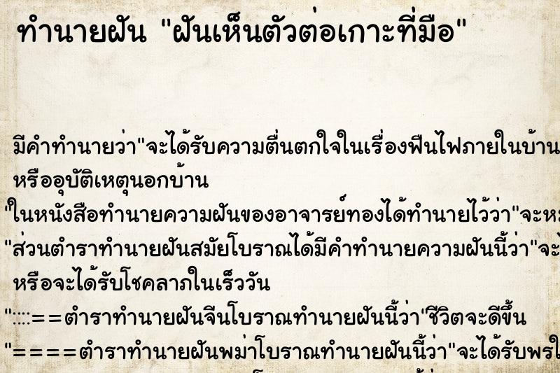 ทำนายฝัน ฝันเห็นตัวต่อเกาะที่มือ ทำนายฝัน ฝันเห็นตัวต่อเกาะที่มือ