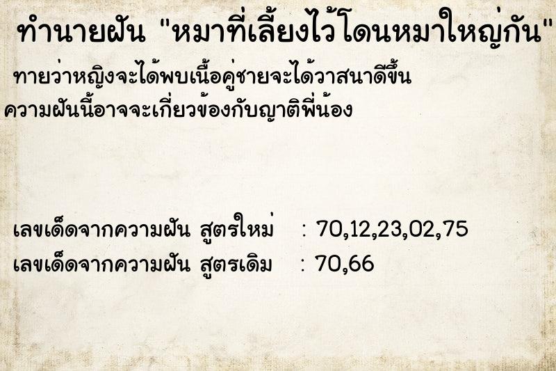 ทำนายฝันทำนายฝันหมาที่เลี้ยงไว้โดนหมาใหญ่กัน