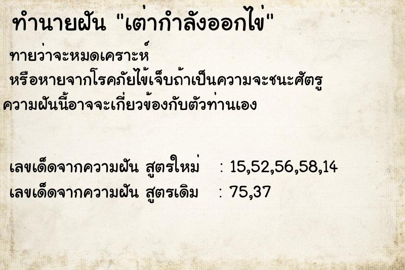 ทำนายฝัน เต่ากำลังออกไข่ ตำราโบราณ แม่นที่สุดในโลก