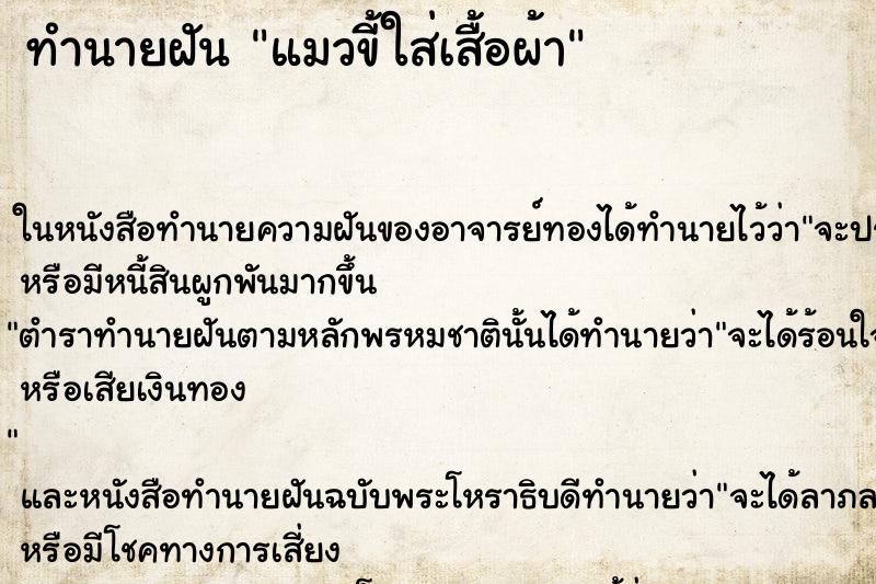 ทำนายฝัน แมวขี้ใส่เสื้อผ้า