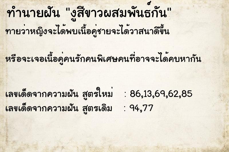 ทำนายฝันงูสีขาวผสมพันธ์กัน ทำนายฝันทำนายฝันงูสีขาวผสมพันธ์กัน