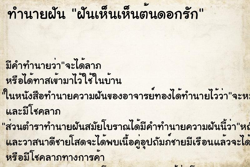 ทำนายฝัน ฝันเห็นเห็นต้นดอกรัก ทำนายฝัน ฝันเห็นเห็นต้นดอกรัก