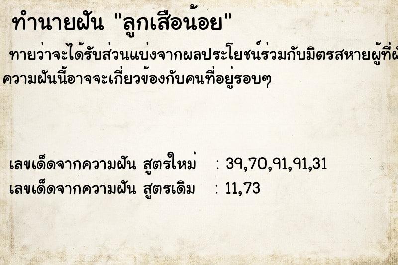 ทำนายฝันลูกเสือน้อย ทำนายฝันทำนายฝันลูกเสือน้อย