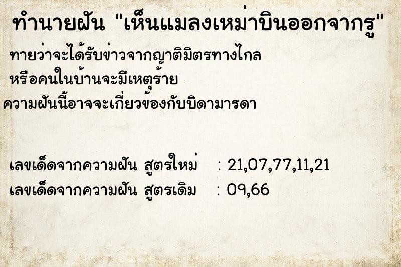 ทำนายฝันทำนายฝันเห็นแมลงเหม่าบินออกจากรู