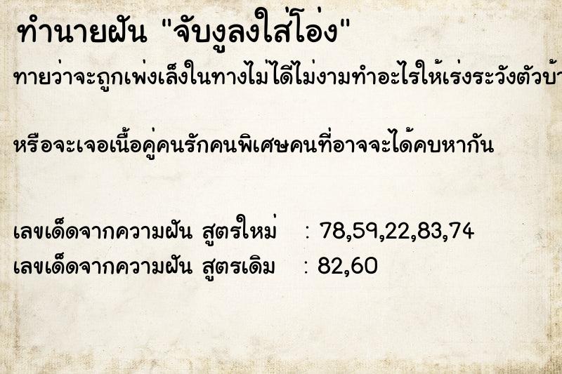 ทำนายฝันจับงูลงใส่โอ่ง ทำนายฝันทำนายฝันจับงูลงใส่โอ่ง