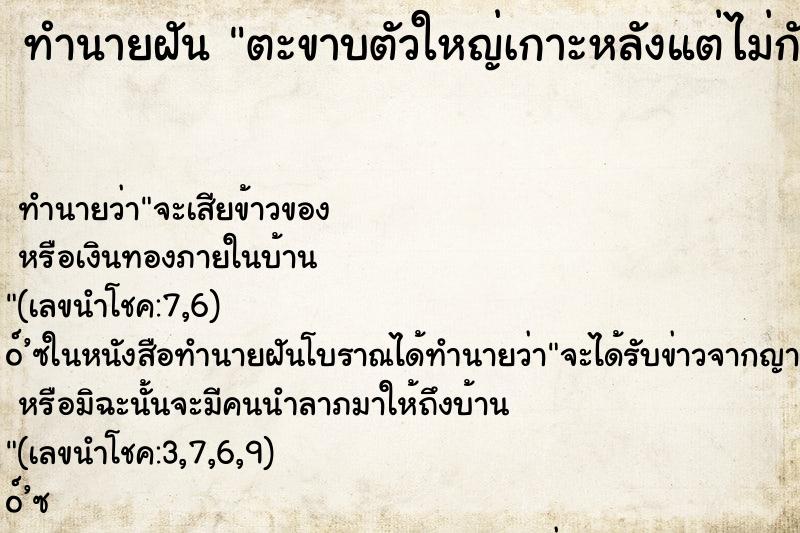 ทำนายฝัน ตะขาบตัวใหญ่เกาะหลังแต่ไม่กัด