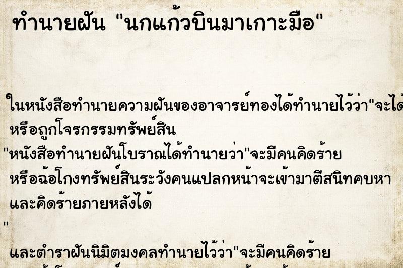 ทำนายฝัน นกแก้วบินมาเกาะมือ ทำนายฝัน นกแก้วบินมาเกาะมือ