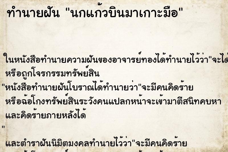 ทำนายฝัน นกแก้วบินมาเกาะมือ ตำราโบราณ แม่นที่สุดในโลก