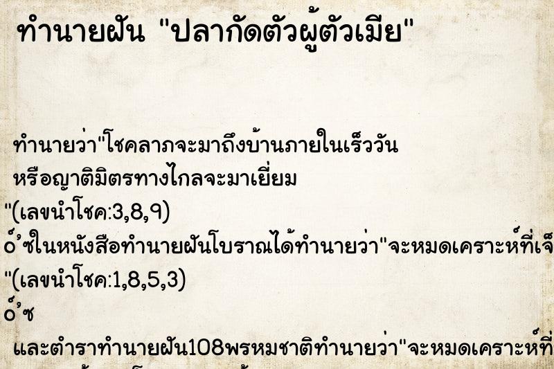 ทำนายฝัน ปลากัดตัวผู้ตัวเมีย ทำนายฝัน ปลากัดตัวผู้ตัวเมีย