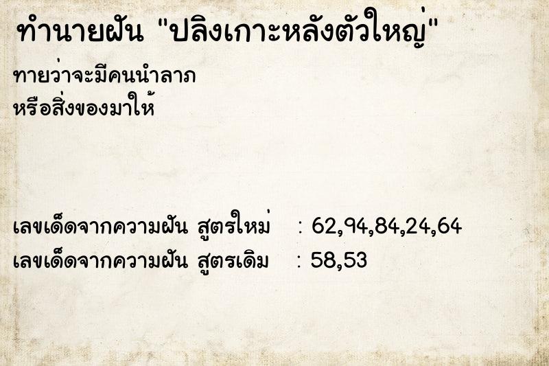 ทำนายฝันปลิงเกาะหลังตัวใหญ่ ทำนายฝันทำนายฝันปลิงเกาะหลังตัวใหญ่