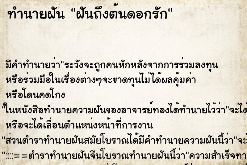 ทำนายฝัน ฝันถึงต้นดอกรัก ทำนายฝัน ฝันถึงต้นดอกรัก