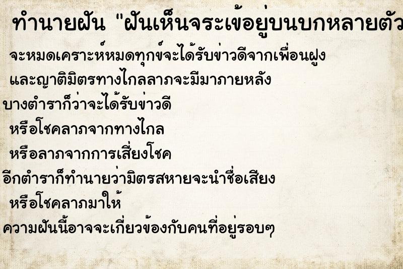 ทำนายฝันทำนายฝันฝันเห็นจระเข้อยู่บนบกหลายตัว