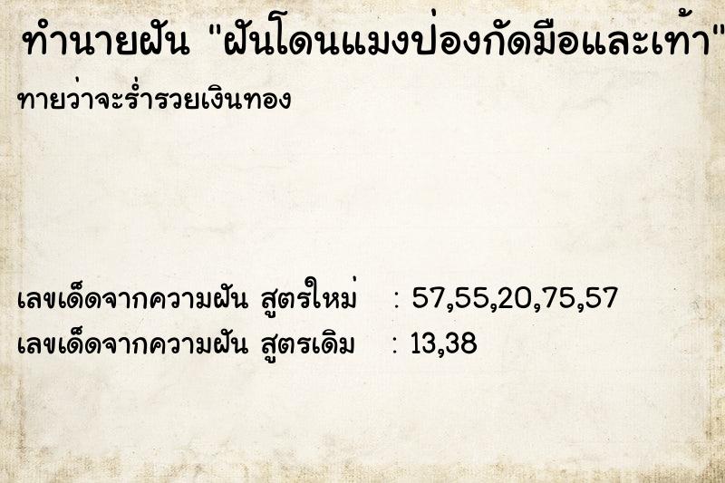 ทำนายฝัน ฝันโดนแมงป่องกัดมือและเท้า ทำนายฝัน ฝันโดนแมงป่องกัดมือและเท้า