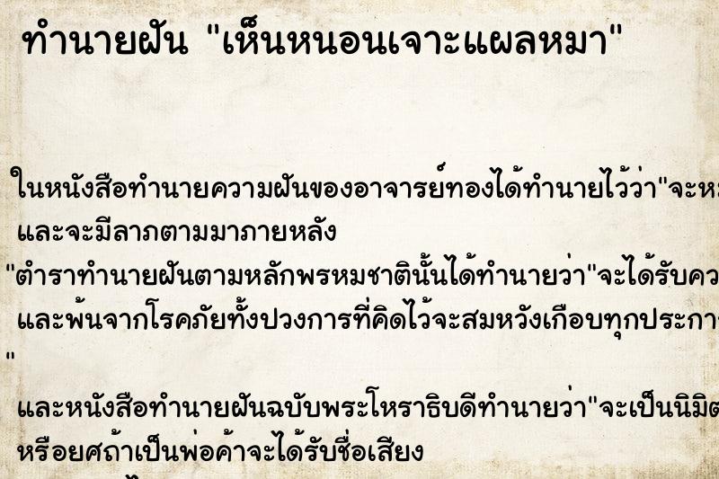 ทำนายฝัน เห็นหนอนเจาะแผลหมา ทำนายฝัน เห็นหนอนเจาะแผลหมา