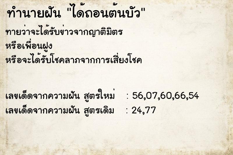 ทำนายฝันได้ถอนต้นบัว ทำนายฝันทำนายฝันได้ถอนต้นบัว