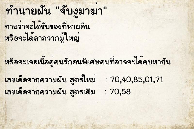 ทำนายฝันทำนายฝันจับงูมาฆ่า