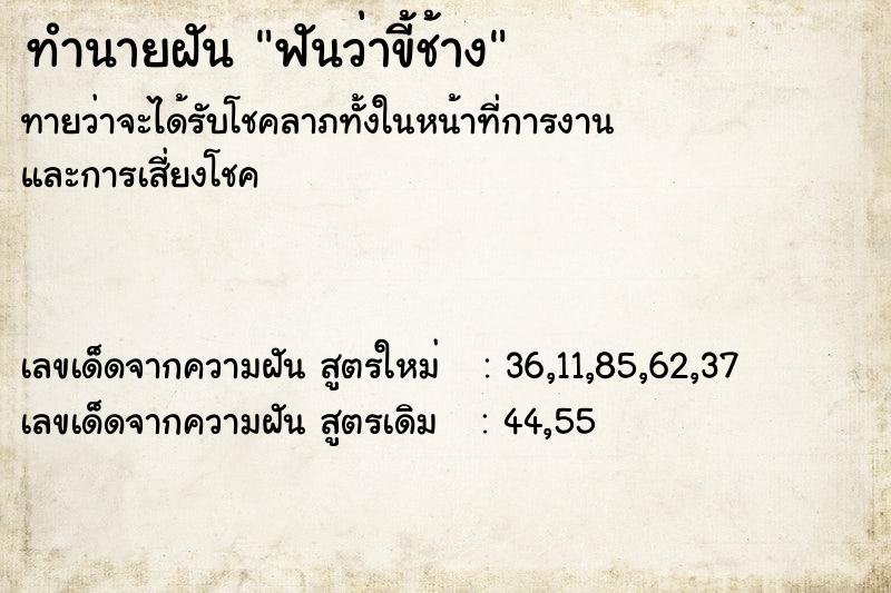 ทำนายฝันฟันว่าขี้ช้าง ทำนายฝันทำนายฝันฟันว่าขี้ช้าง