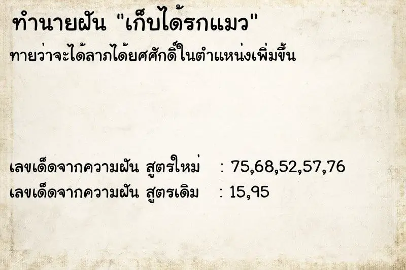 ทำนายฝัน เก็บได้รกแมว ทำนายฝัน เก็บได้รกแมว