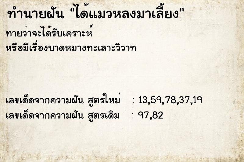ทำนายฝันทำนายฝันได้แมวหลงมาเลี้ยง