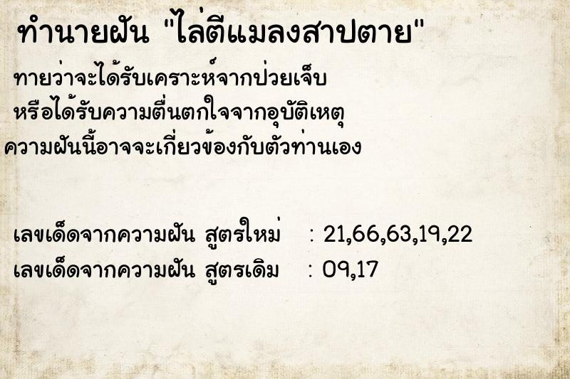 ทำนายฝันทำนายฝันไล่ตีแมลงสาปตาย