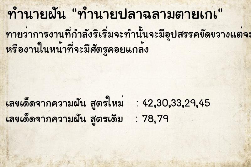 ทำนายฝันทำนายฝันทำนายปลาฉลามตายเกà