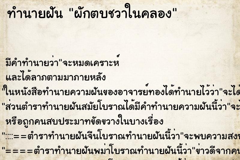 ทำนายฝันผักตบชวาในคลอง ทำนายฝันทำนายฝันผักตบชวาในคลอง