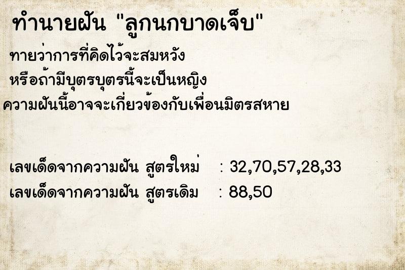 ทำนายฝันทำนายฝันลูกนกบาดเจ็บ