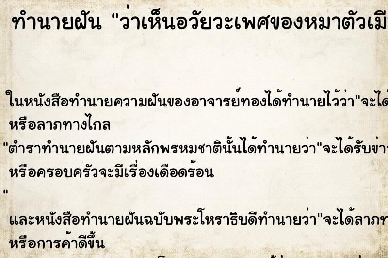 ทำนายฝันว่าเห็นอวัยวะเพศของหมาตัวเมีย ทำนายฝันทำนายฝันว่าเห็นอวัยวะเพศของหมาตัวเมีย
