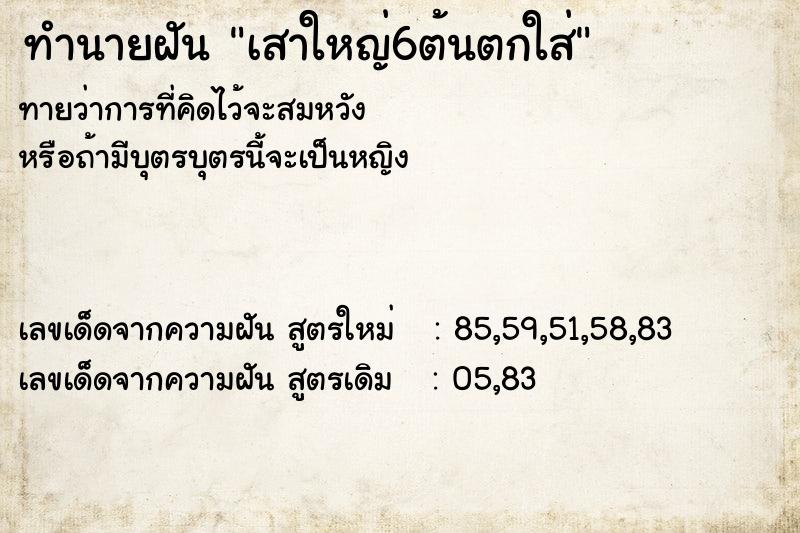 ทำนายฝันทำนายฝันเสาใหญ่6ต้นตกใส่